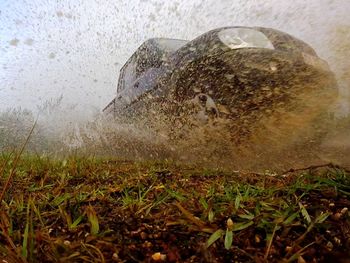 Close-up of wet rocks on field against sky