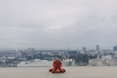 Rear view of woman sitting on wet glass against sky in city