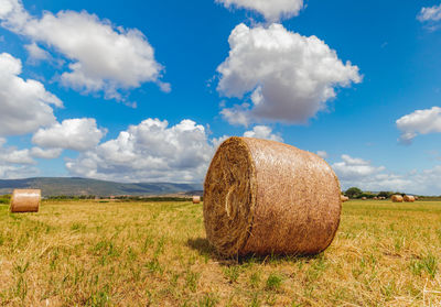 Round bales harvesting in golden field landscape, south sardinia