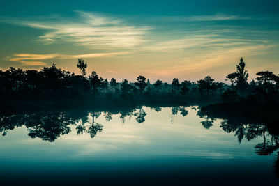 A beautiful, colorful morning landscape of a sunrise over the swamp