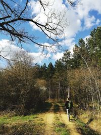 Scenic view of tree against sky