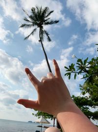 Cropped image of hand holding palm tree against sky