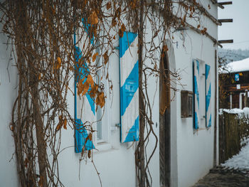 People walking on street