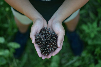 Close-up of hand holding fruit