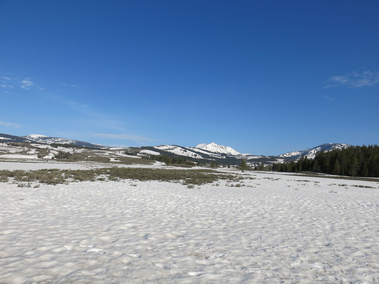 Snowing yellowstone