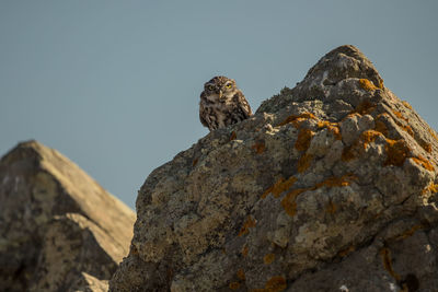 Low angle view of rock formation against sky