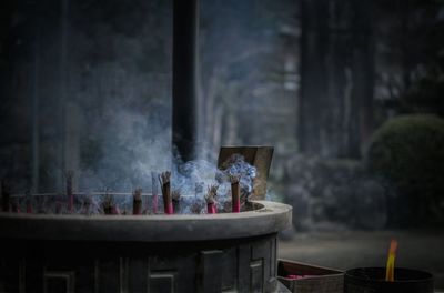 Close-up of plant against blurred background