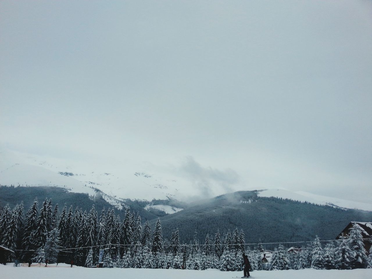 winter, snow, cold temperature, mountain, weather, tranquil scene, tranquility, scenics, beauty in nature, landscape, season, sky, nature, tree, mountain range, covering, fog, bare tree, non-urban scene, outdoors