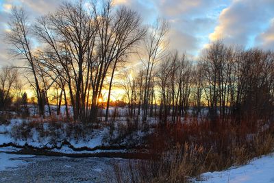 Bare trees on snow covered land during sunset