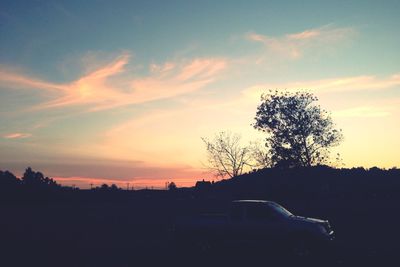 Silhouette tree on field against sky during sunset