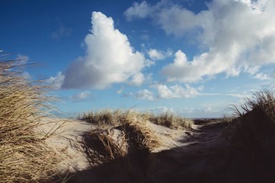 Panoramic view of landscape against sky