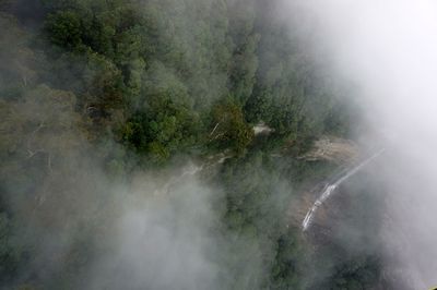 High angle view of waterfall in forest