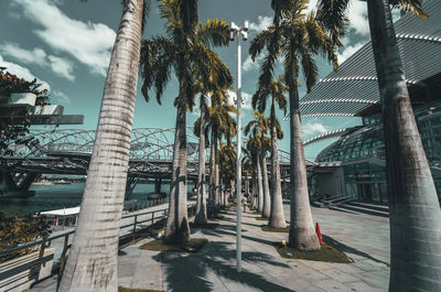 Palm trees by swimming pool in city against sky