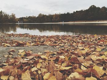 View of lake with trees in background