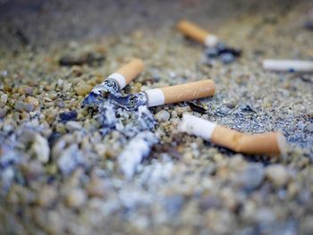 Close-up of cigarette smoking on ground