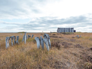 Built structure on field against sky
