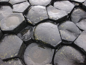 Full frame shot of wet footpath
