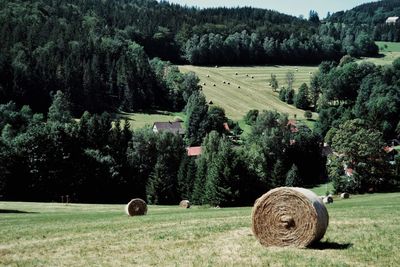 Hay bales on field against trees