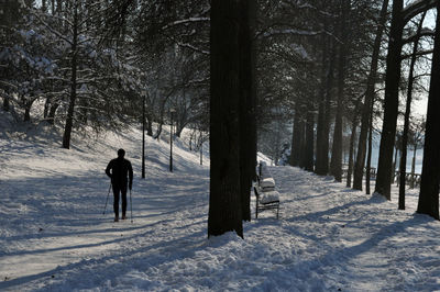 Rear view of man with hiking poles walking on snow covered land in forest