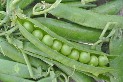 Close-up of vegetables