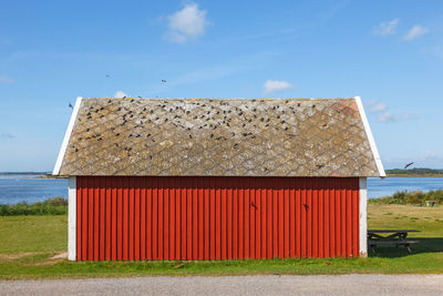 Red cottage at the seashore with the house martins on the roof