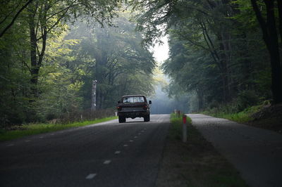 Driving through the woods 