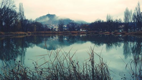 Reflection of trees in calm lake