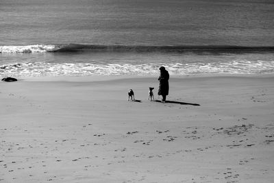 Woman and dogs standing on wet shore against sea