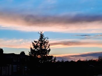 Silhouette trees and buildings against sky at sunset