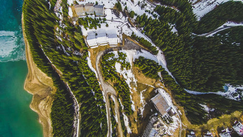 High angle view of trees and buildings