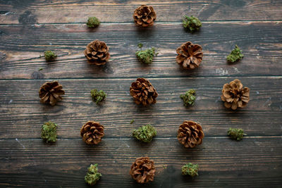 High angle view of fruits