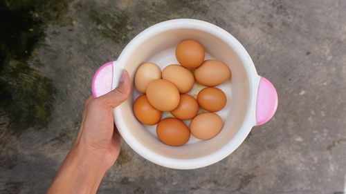 High angle view of hand holding eggs in container