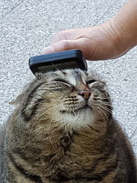 Close-up of hand holding smart phone