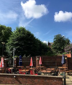 Trees against cloudy sky