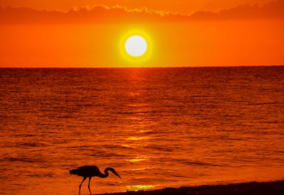 Scenic view of sea against orange sky