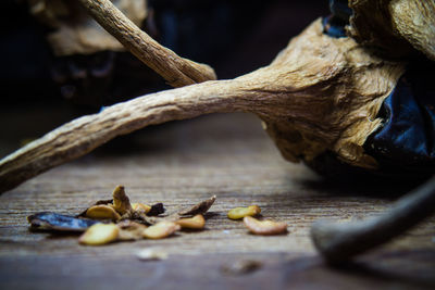 Close-up of dry leaves on table