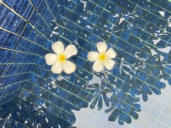 Directly below shot of illuminated chandelier