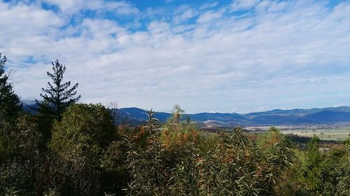 Plants growing on landscape against sky