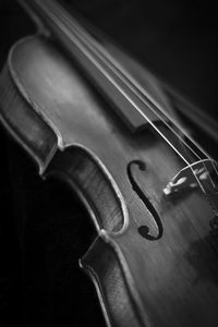 Close-up of violin