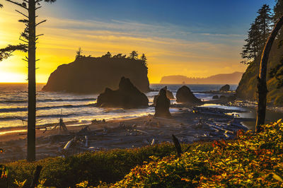 Scenic view of sea against sky during sunset