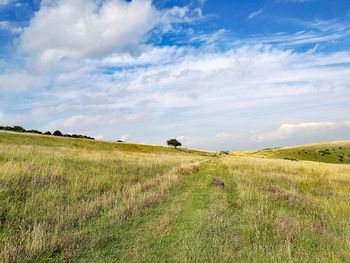 Scenic view of field against sky