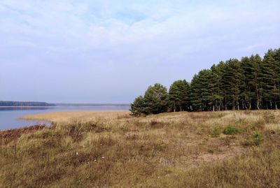 Scenic view of trees by sea against sky