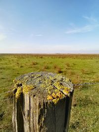 Wooden fence on field against sky