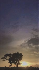 Low angle view of silhouette trees against sky at sunset