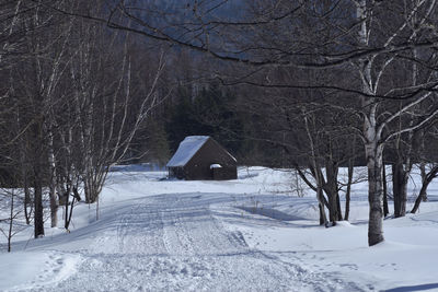 Snow covered land and bare trees on field during winter