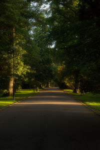 Road amidst trees