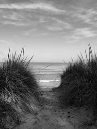 Scenic view of beach against sky