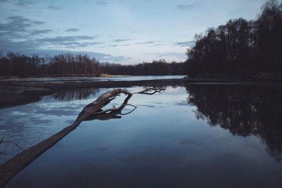 Reflection of trees in calm lake