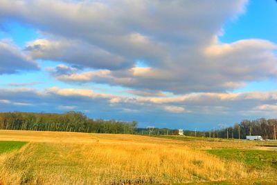 Scenic view of field against sky