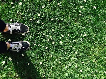 Low section of person standing on grassy field